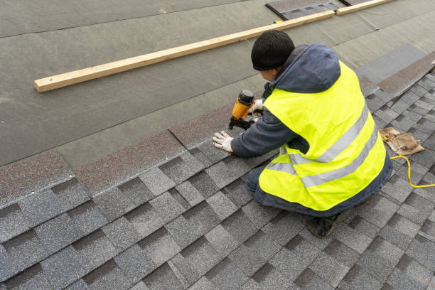 Best Gutter Installation and Roofing  in Laguna Vista, TX